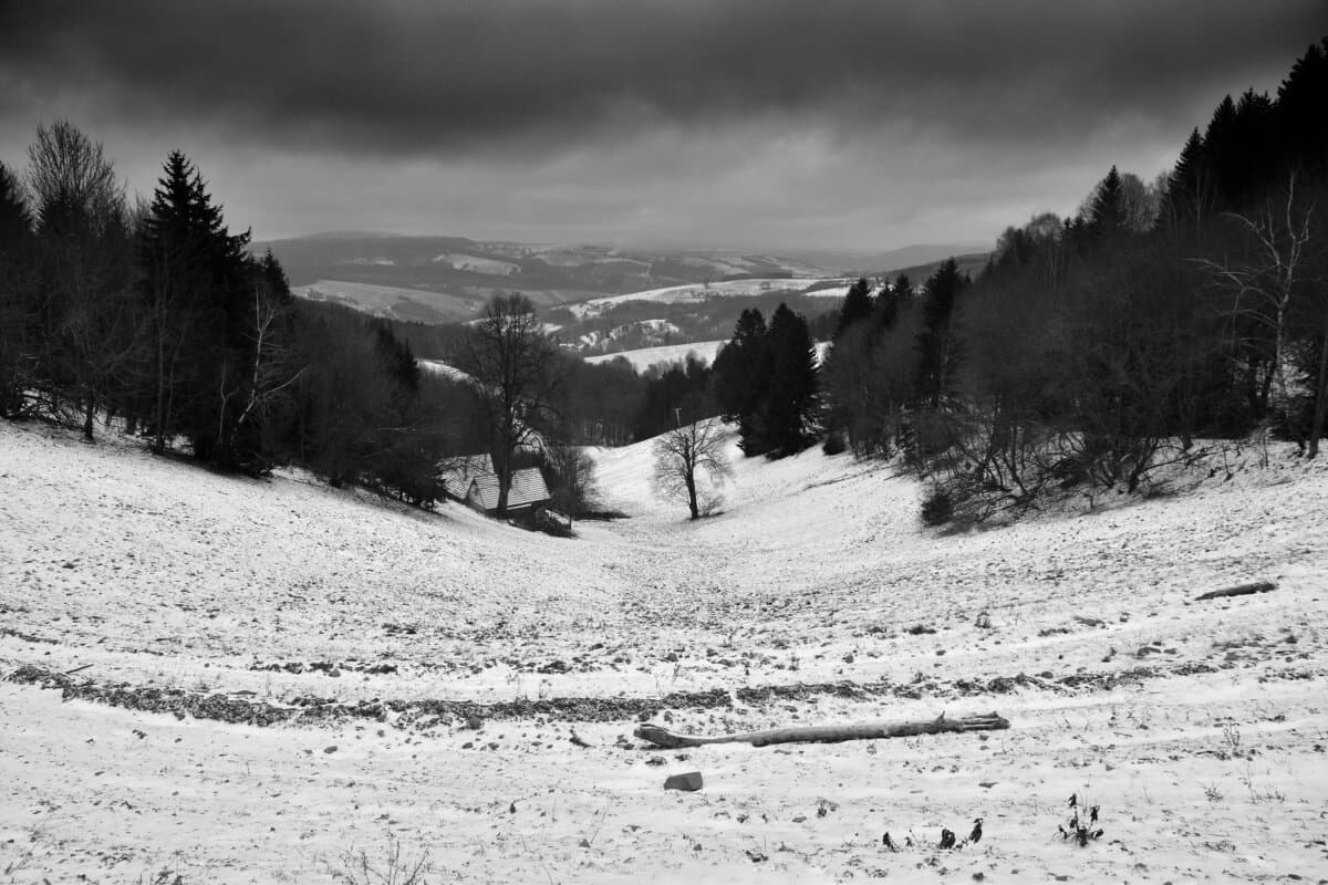 Winter landscape mountains monochrome art wallpaper