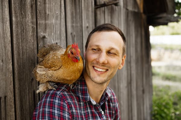 Die Vogelgrippe ist potenziell auch eine Gefahr für den Menschen