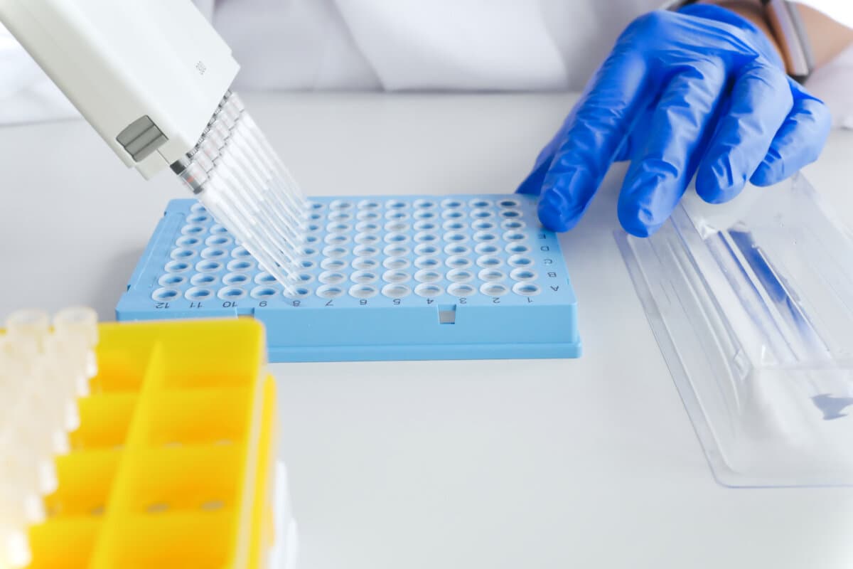 Hände eines Wissenschaftlers, der mit Mehrkanalpipetten und Multi-Well-Platten arbeitet.