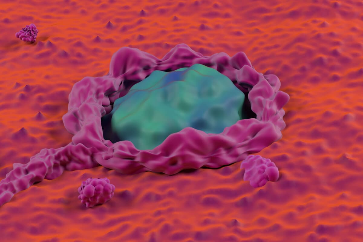 Cancerous colon surface super macro colorectal cancer closeup view 3d illustration.