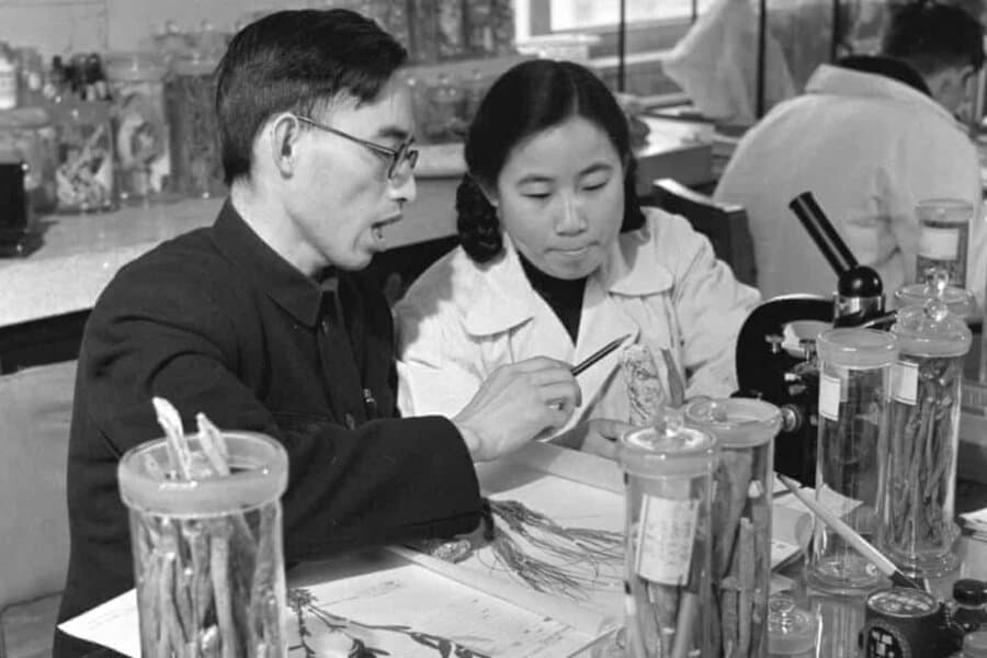 Tu Youyou im Labor in den 1950er-Jahren.