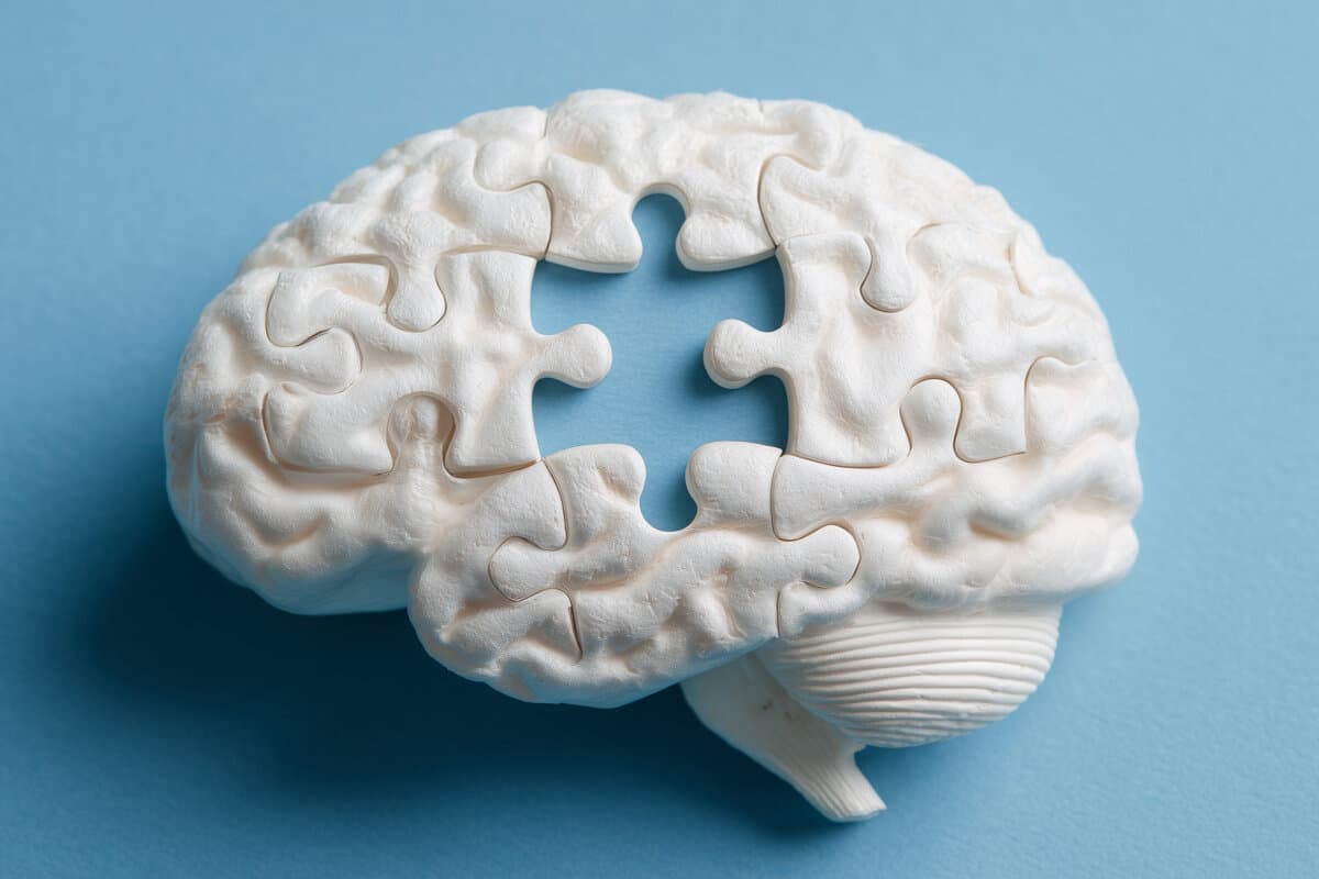 Konzeptbild Gehirn aus Puzzlesteienen.