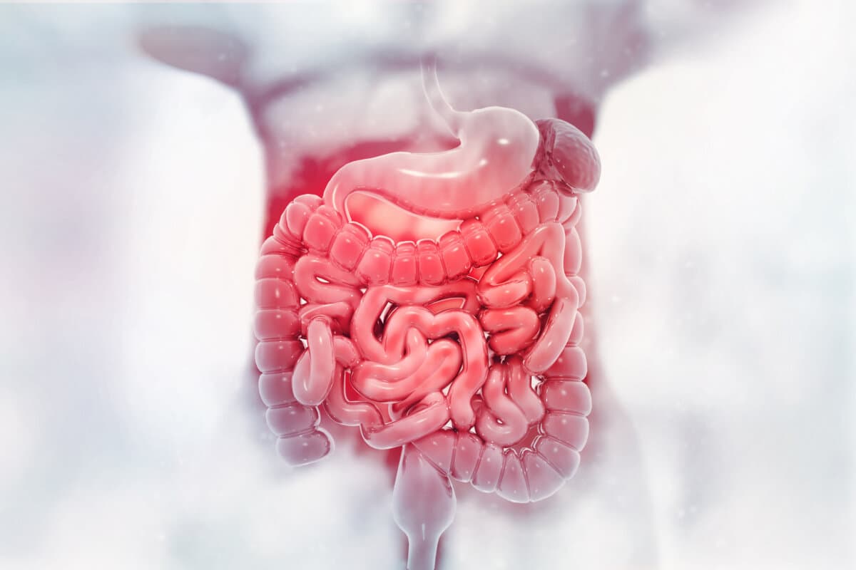 Bei systemischer Sklerose sind Verdauungsprobleme häufig