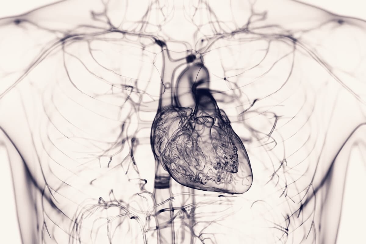 Kombinierte Risikobewertung bei NSTEMI verbessert Prognoseeinschätzung