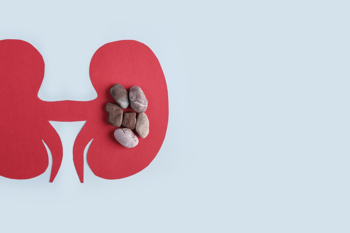 Kidney – human organs from paper on blue background. World kidney day and national organ donor day concept.