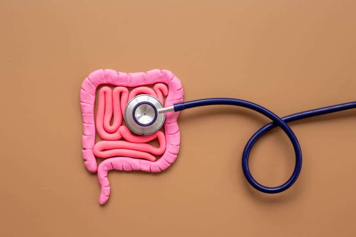 Digestive colon system health concept. Intestines shape made of plasticine with stethoscope.