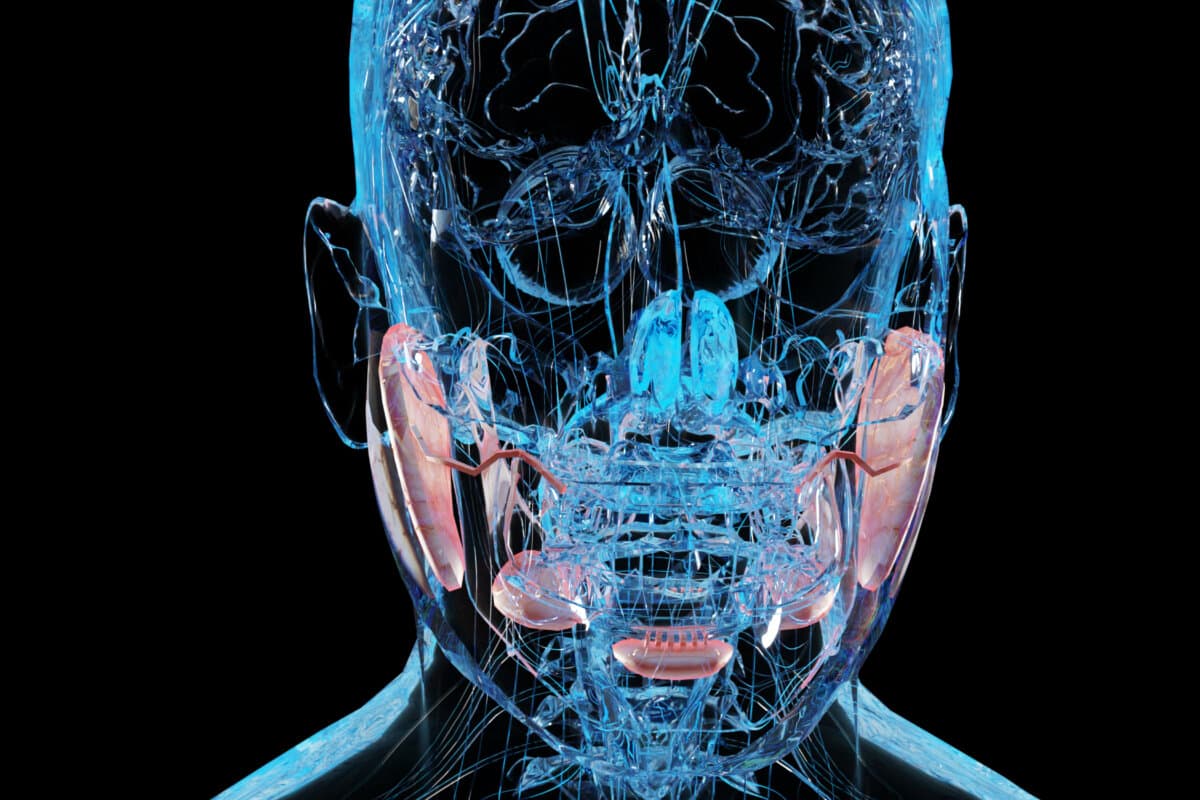 Speicheldrüsen können durch die Krebstherapie beschädigt werden und Schleimhautprobleme im Mund verursachen.