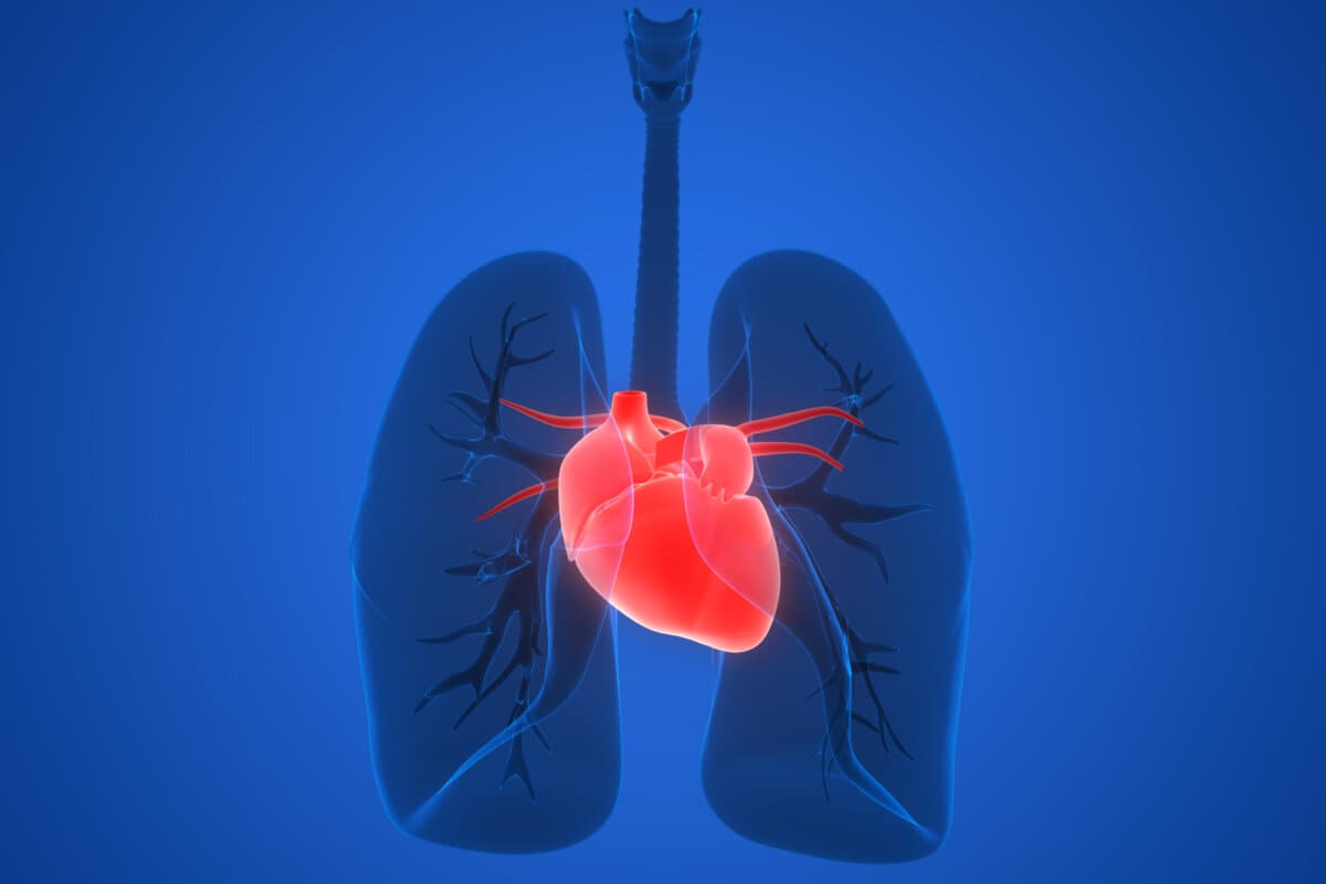 COPD und Herzerkrankung