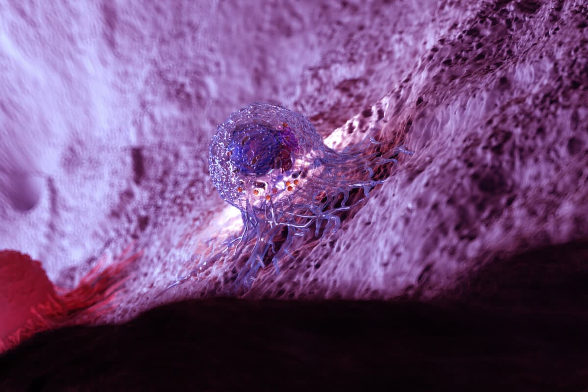 3d rendered illustration of the anatomy of a cancer cell