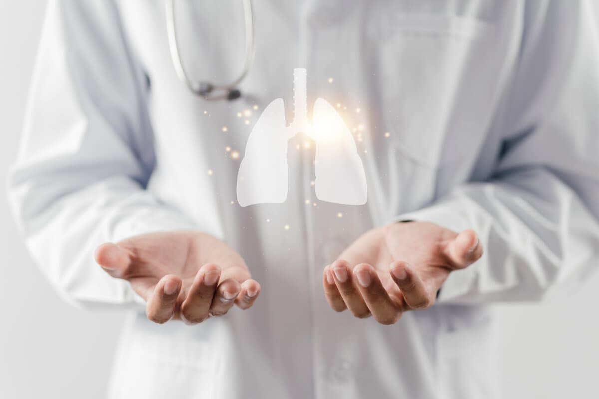 doctor hands holding lungs organ , world tuberculosis day, world no tobacco day, lung cancer, Pulmonary hypertension, copd,