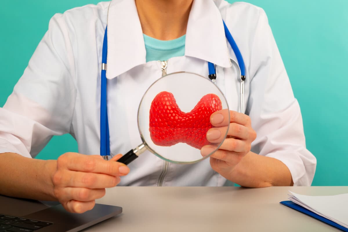 Male doctor showing a model of thyroid gland using magnifying glass. Early diagnosis and treatment.