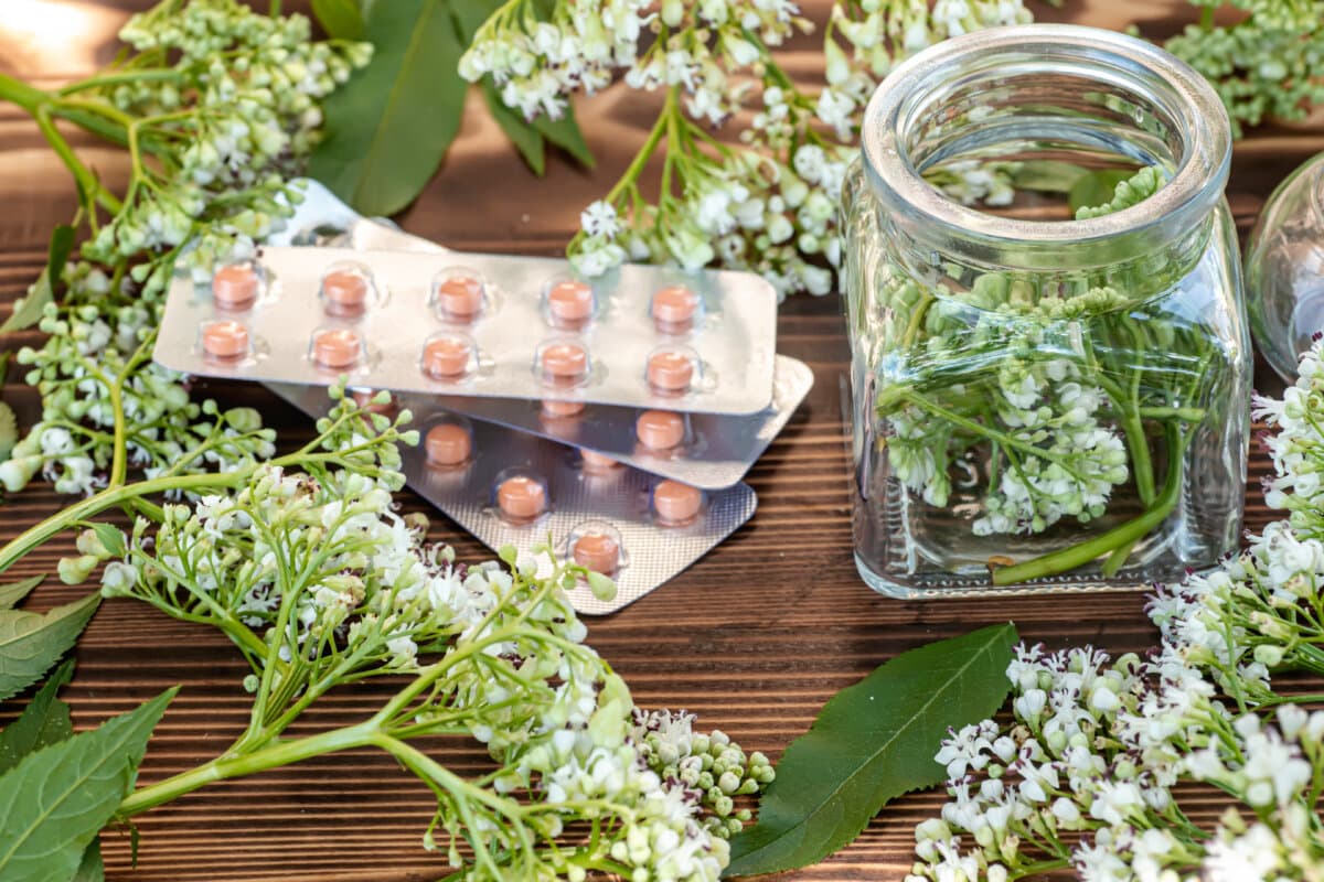 Fresh Valeriana officinalis flowers in transparent jar. Valerian tablets among white flowers are on table.