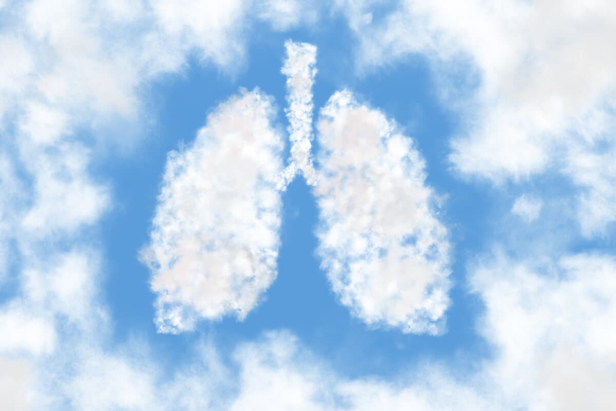 Human lungs shaped as a cloud on blue sky background. Cloudy in the shape of lungs. The bright sky is our lungs.