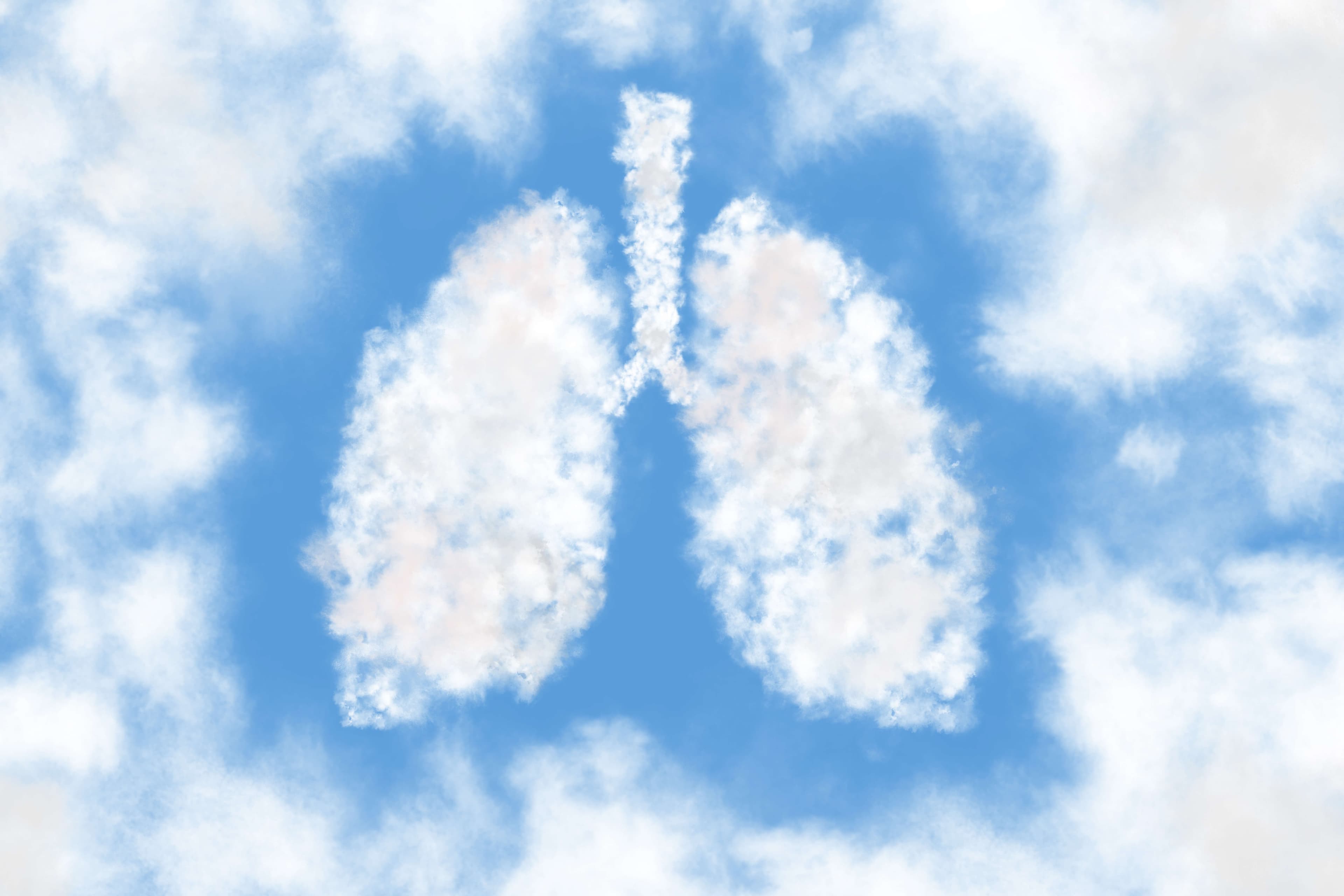 Human lungs shaped as a cloud on blue sky background. Cloudy in the shape of lungs. The bright sky is our lungs.