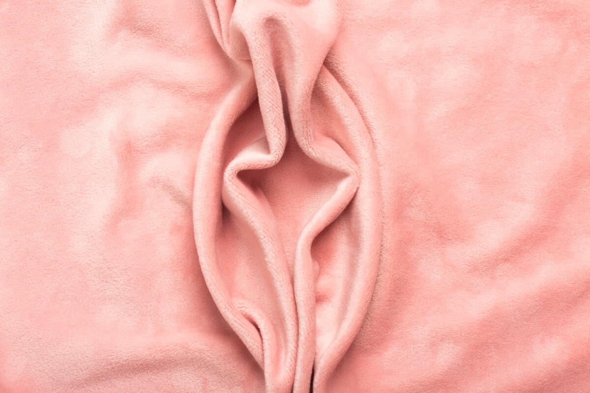 Pink soft fabric shaped as female genital organs, vulva and labia, vagina concept. High quality photo