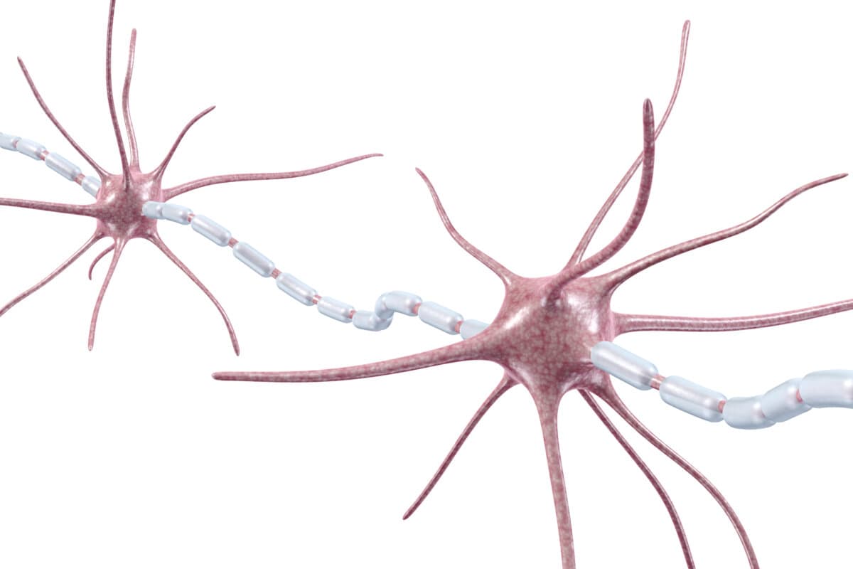 Myelin-Oligodendrozyten-Glykoprotein-Antikörper-assoziierten Erkrankung (MOGAD)