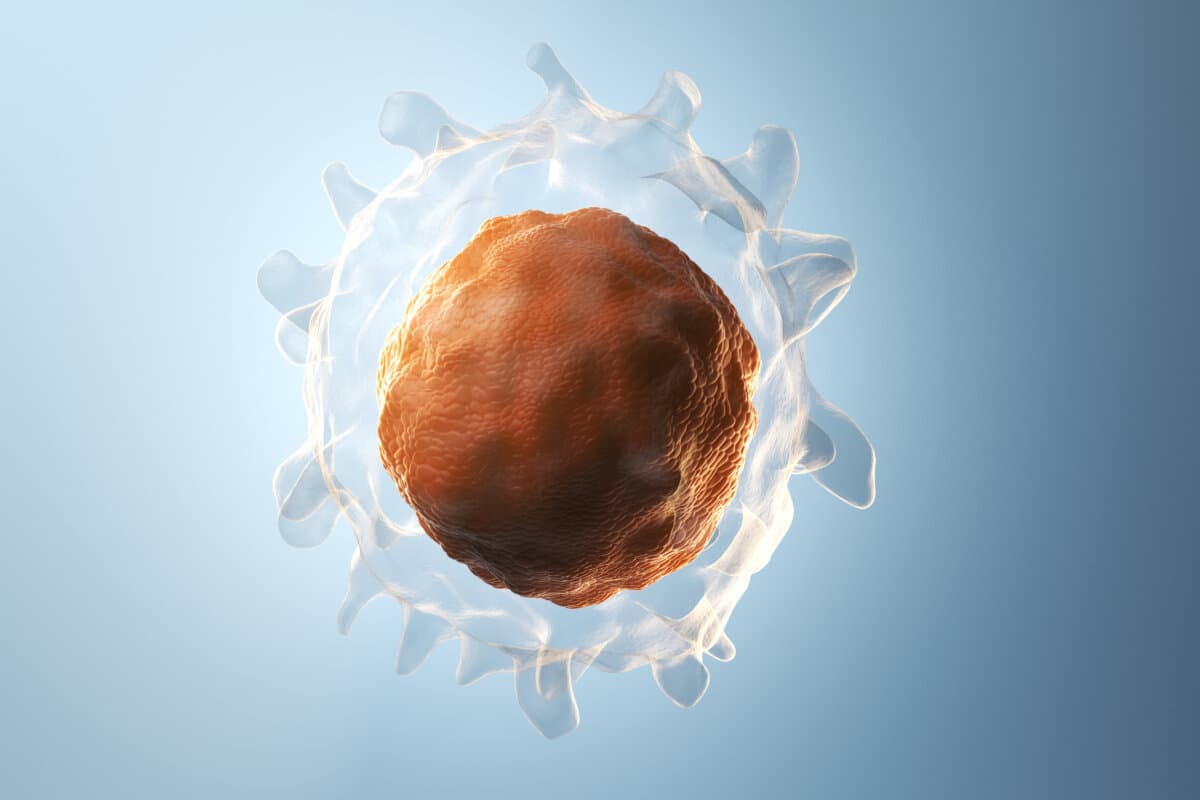 3d rendered illustration of a B-cell. plain blue background. professional studio lighting