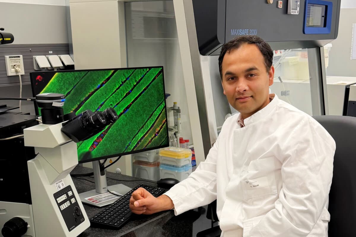 Das Team um PD Dr. Arnab Nayak forscht zur Kachexie im Zuge von Krebserkrankungen.