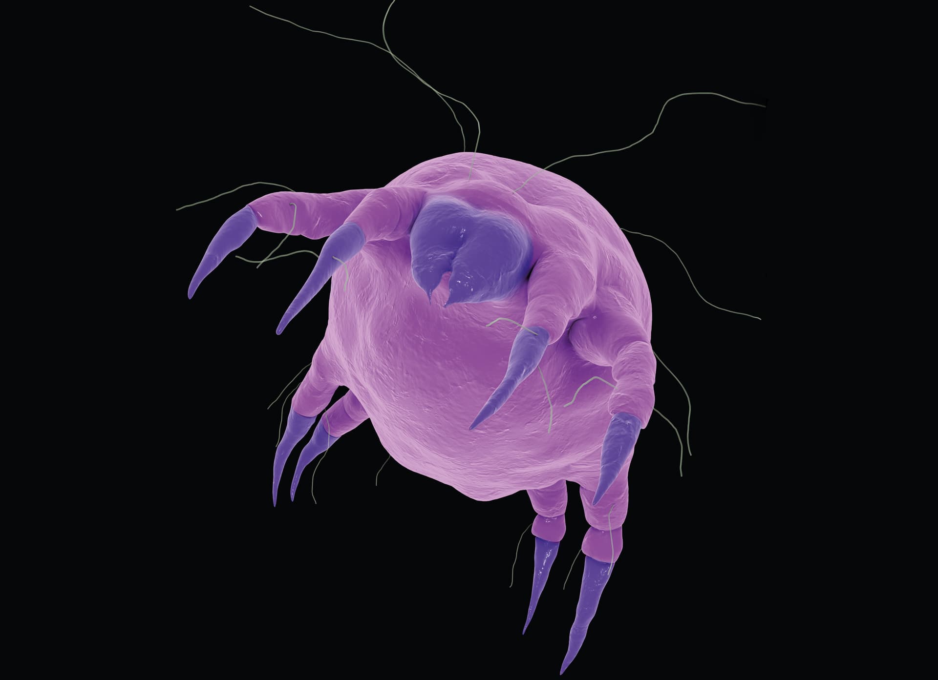 Foto: Dr_Microbe/iStock/Thinkstock