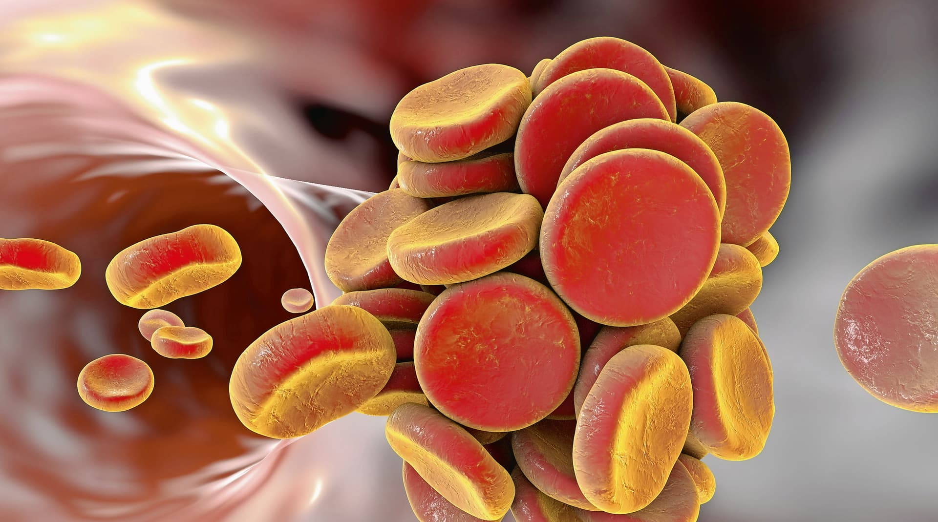 FOTO: DR_MICROBE / GETTYIMAGES