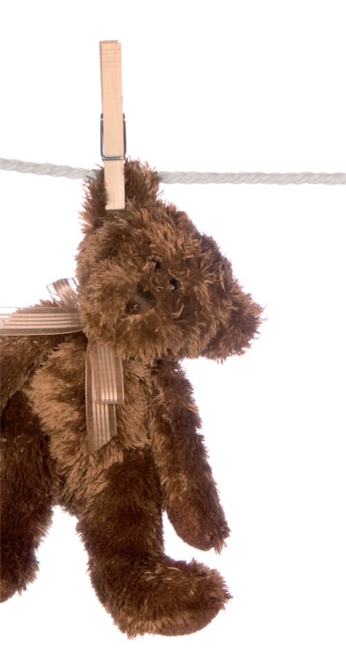 Teddybär