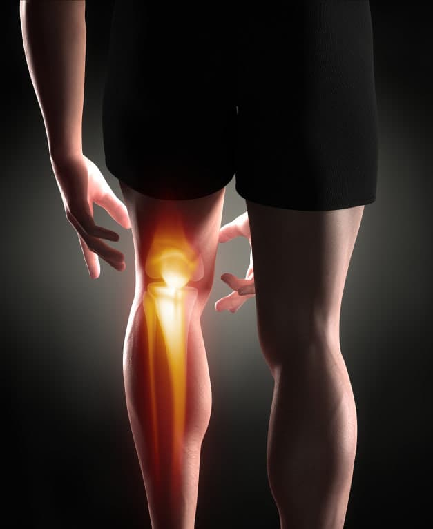 knie_iStock