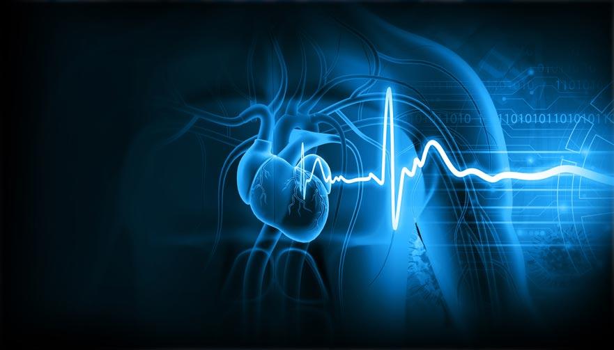 Menschliches Herz mit EKG Bild