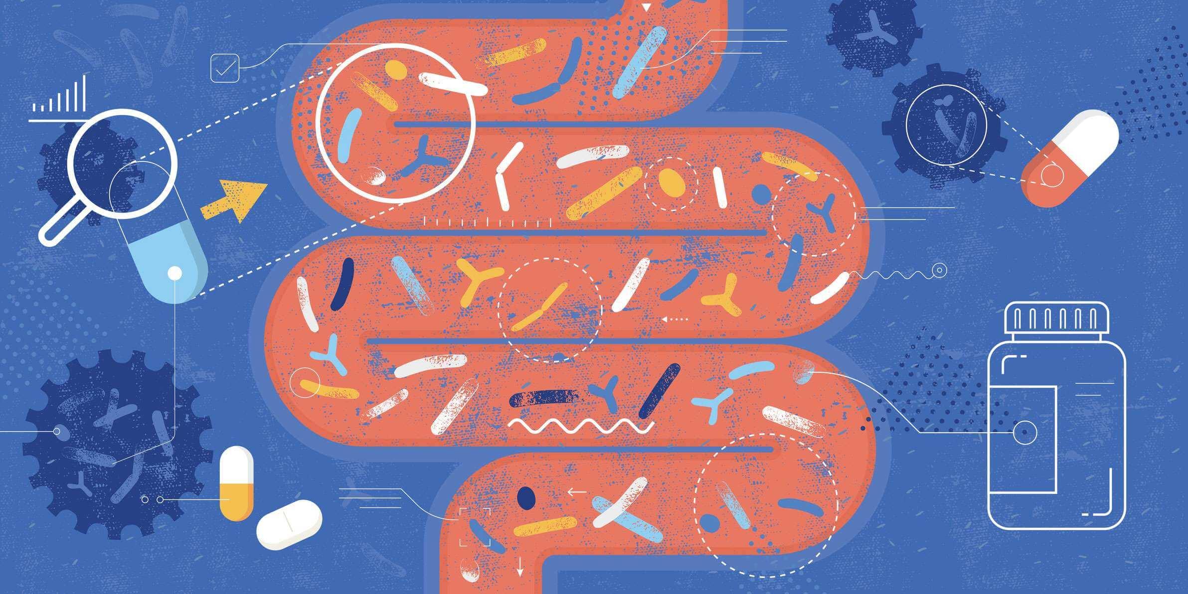 Abstrakte Vektorillustration, die das Konzept der menschlichen Darm- und Probiotikaergänzung darstellt.