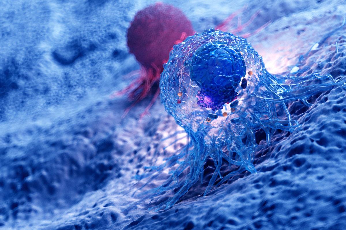 3d rendered illustration of the anatomy of a cancer cell