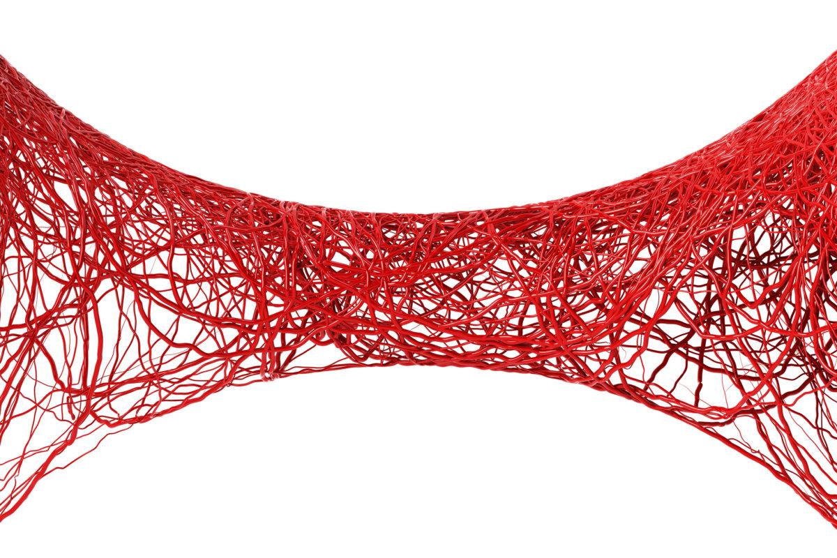 Spiralförmige rote Blutadern, Arterien, Aorta-Strick verheddert, vergrößert auf weißem Hintergrund. medizinische Wissenschaft im Labor. Gen-DNA oder Gefäß.