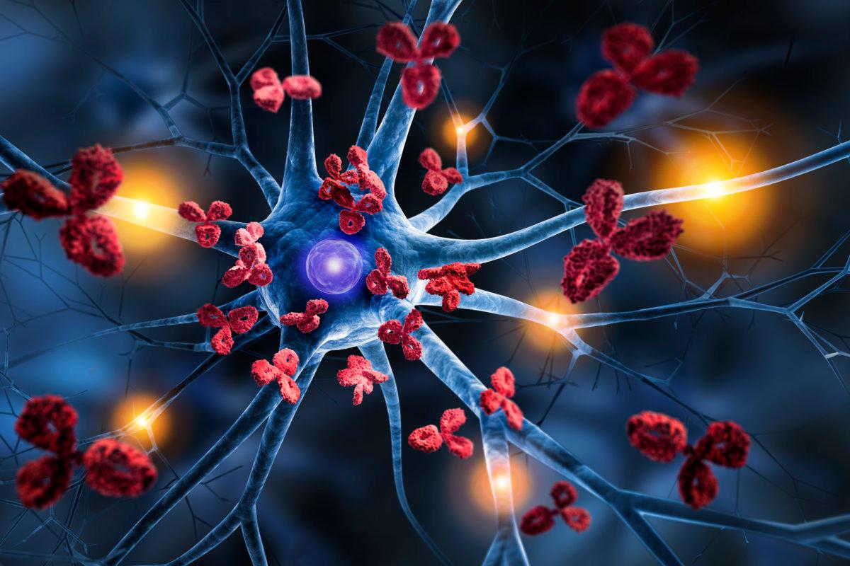 Von Antikörpern angegriffene Nervenzelle – 3D-Darstellung einer Autoimmunerkrankung