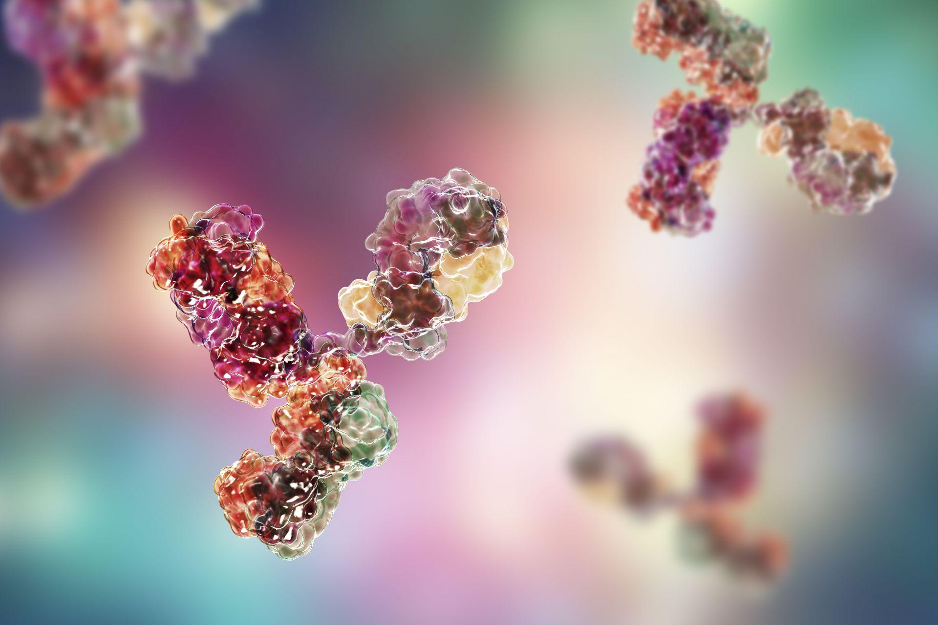 Molecular model of antibody taking part in immune defense. Molecule of immunoglobulin, 3D illustration