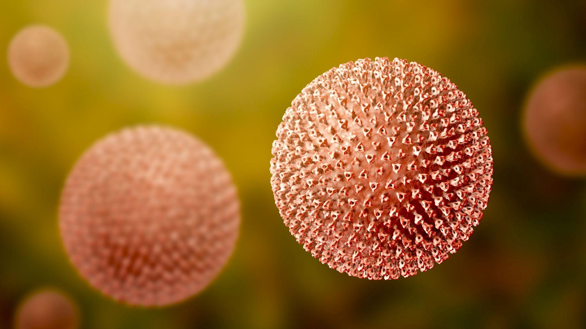 Masernviren, Abbildung zeigt die Struktur des Masernvirus mit Oberflächenglykoproteinspitzen