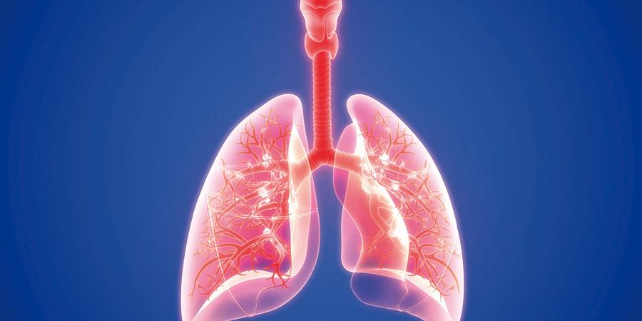 Asthmatherapie nach dem A²BCD-Schema