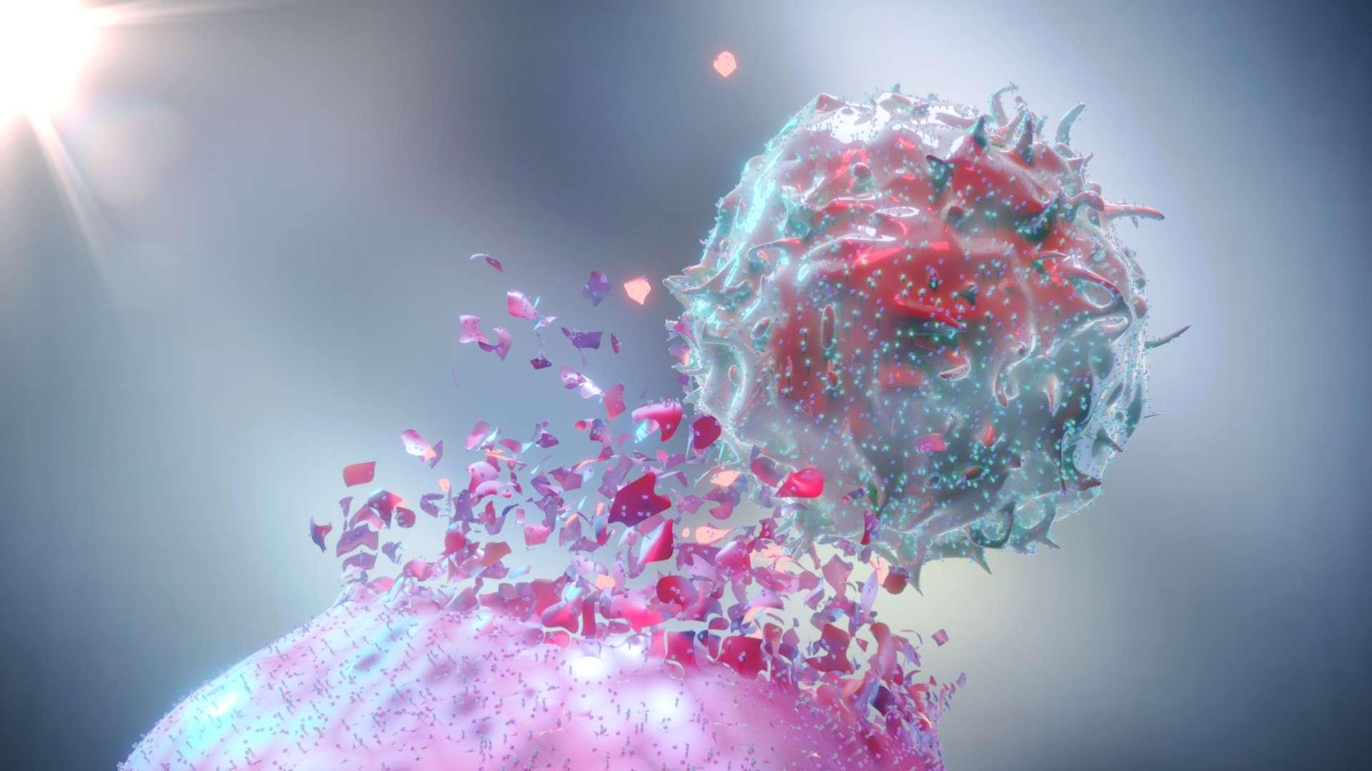 3D-Rendering einer natürlichen Killerzelle (NK-Zelle), die eine Krebszelle zerstört