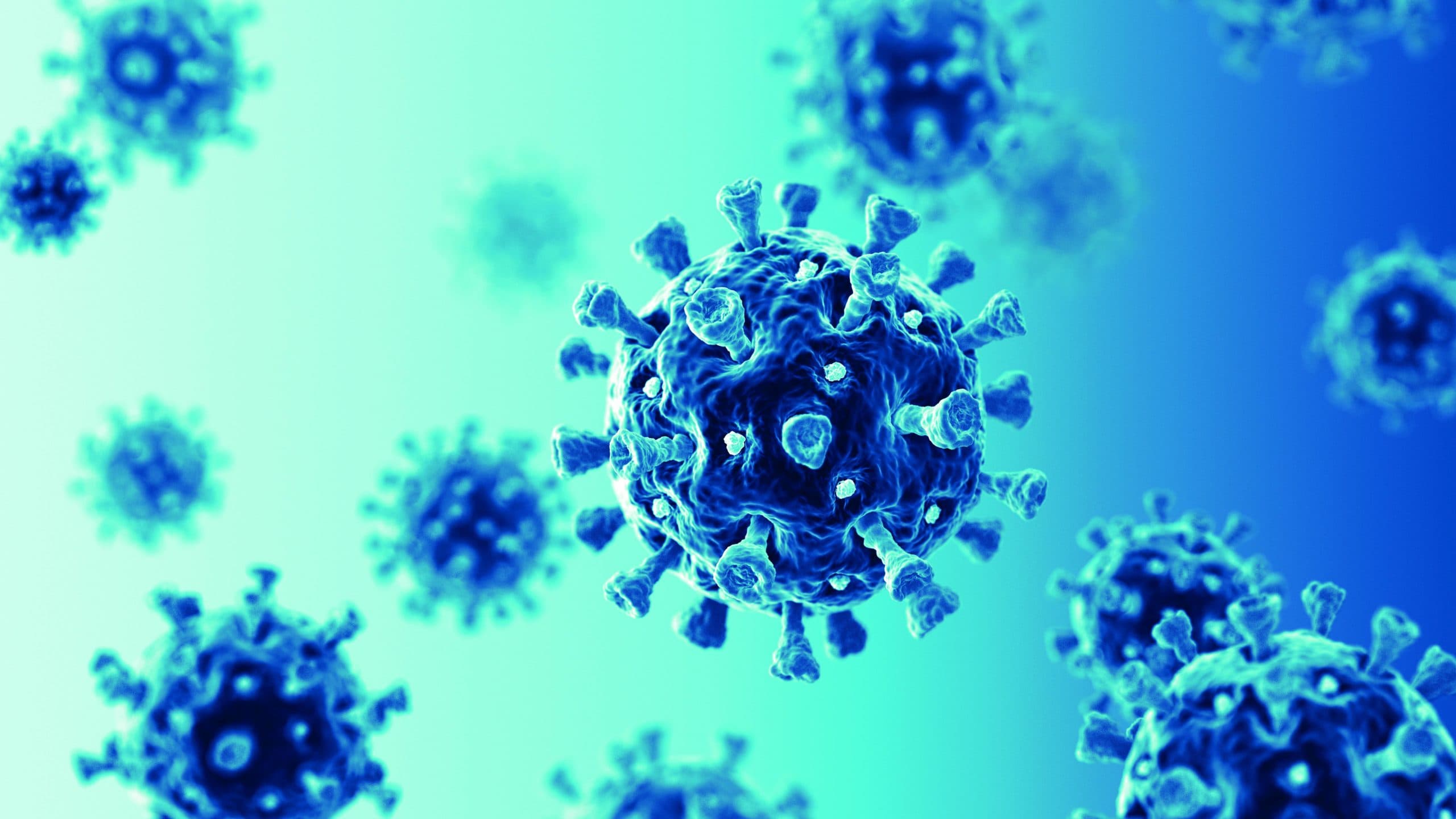 Mikroskopische Nahaufnahme eines Coronavirus.