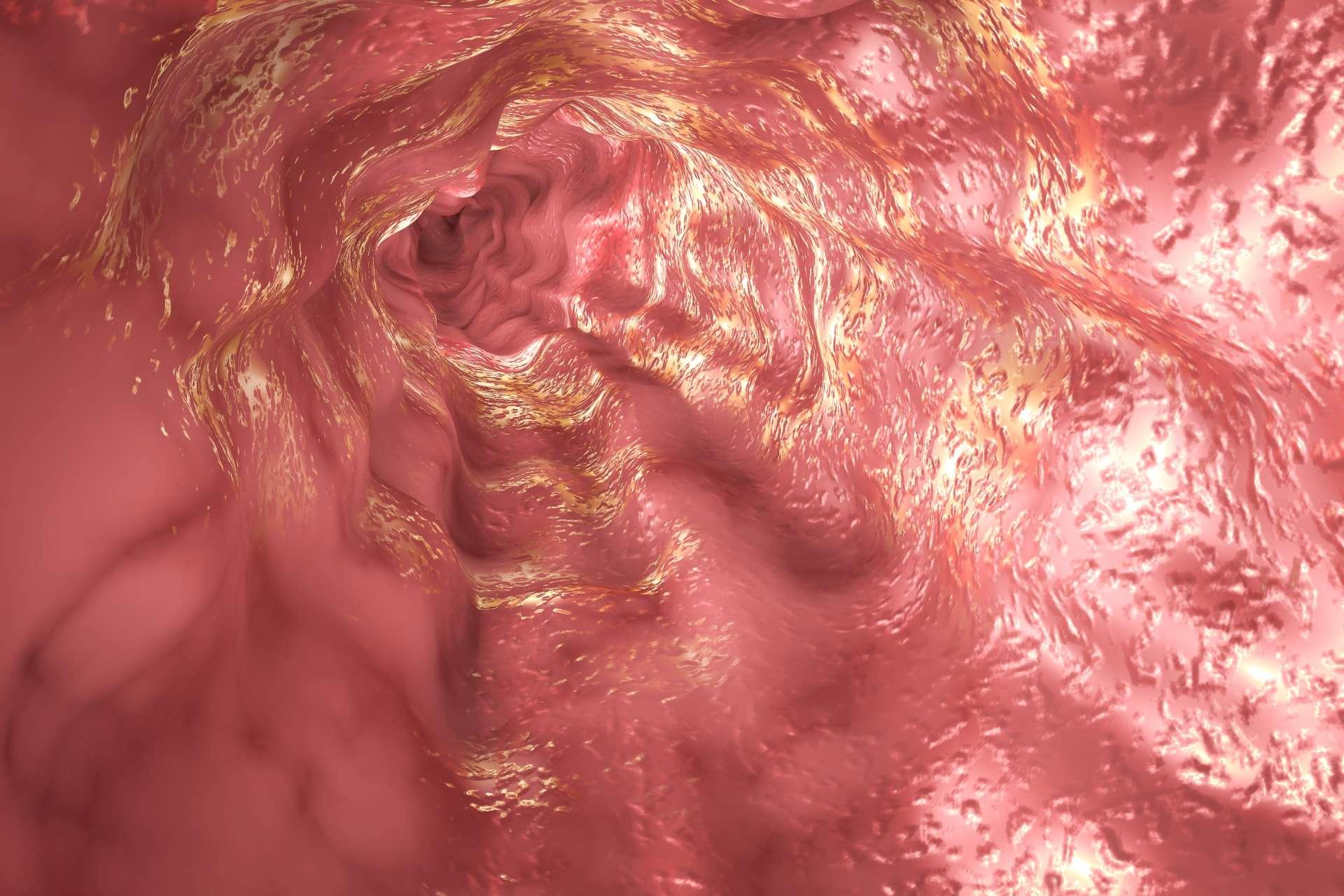 Schleimhaut der Speiseröhre und Schließmuskel der Speiseröhre, 3D-Illustration