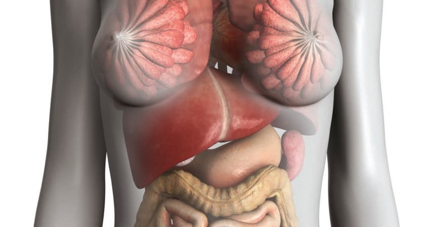 3D-Rendering, Retusche und Zeichnung von Frauen