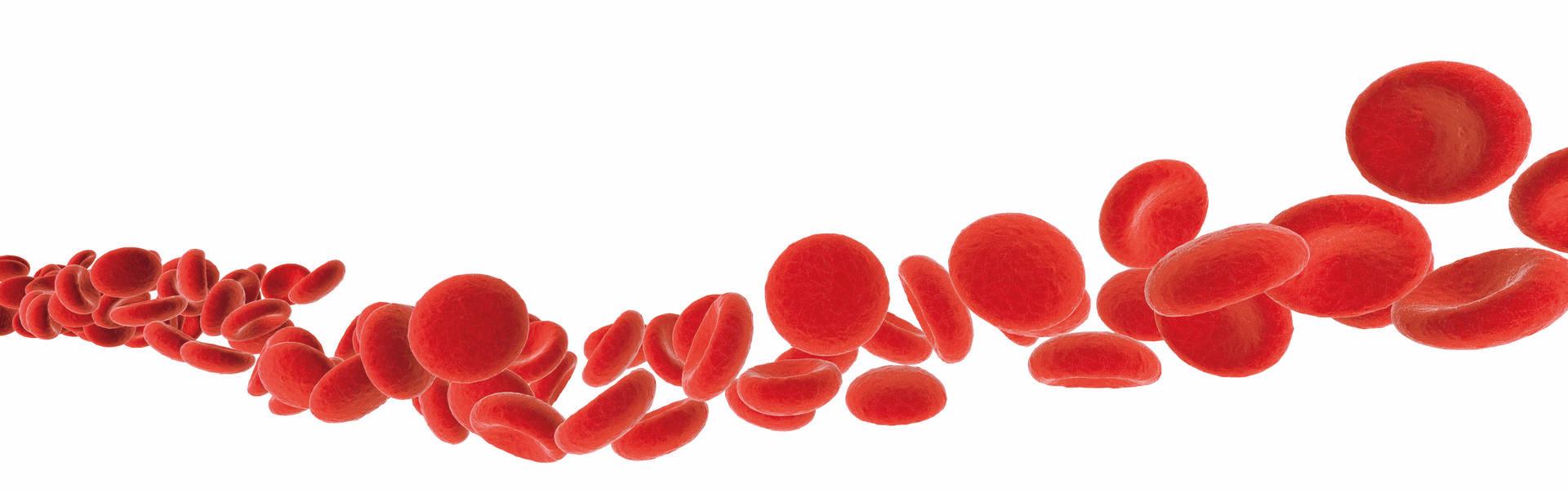 rote Blutkörperchen isoliert auf weißer 3D-Illustration