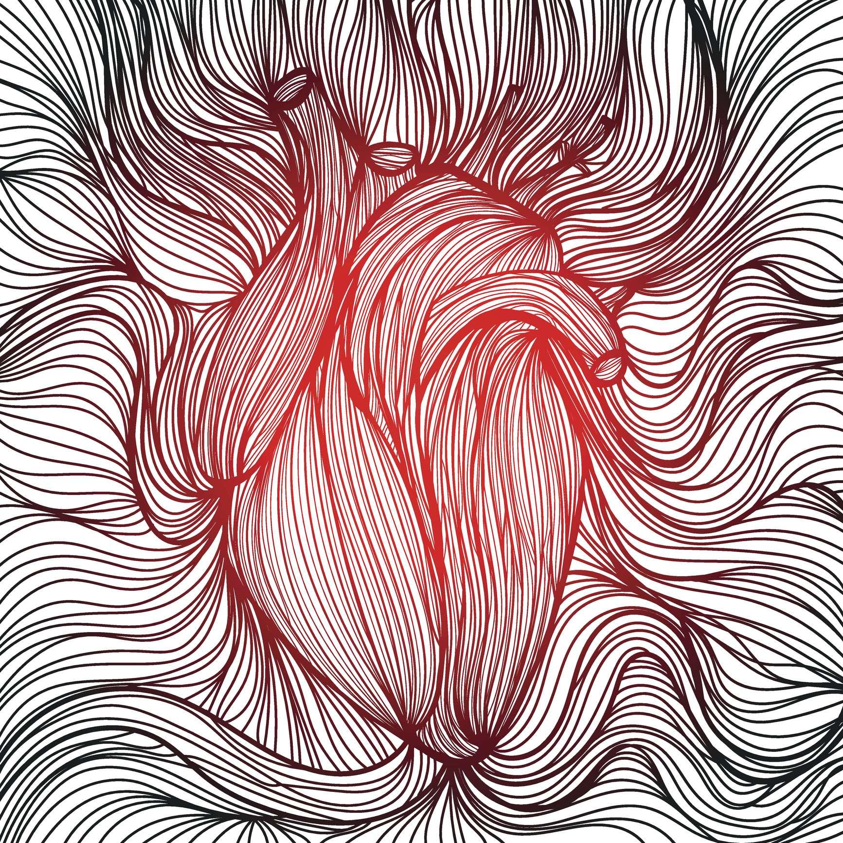 Vektorillustration eines gezeichneten aus vielen roten und schwarzen Linien anatomisches menschliches Herz auf weißem Hintergrund