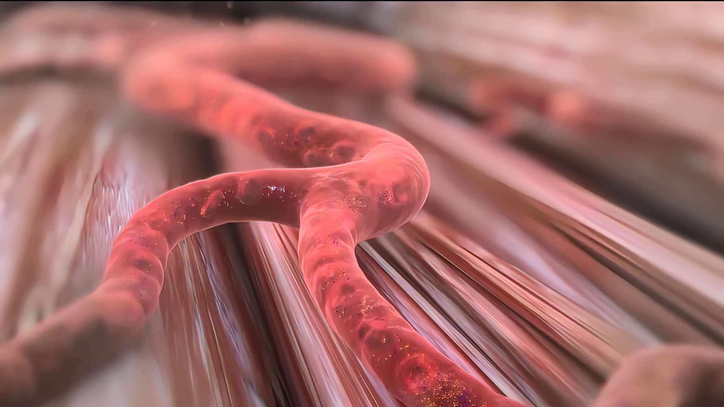 Das Insulin weist die Zellen in Ihrem Körper an, Glukose aus Ihrer 3D-Illustration des Blutkreislaufs aufzunehmen