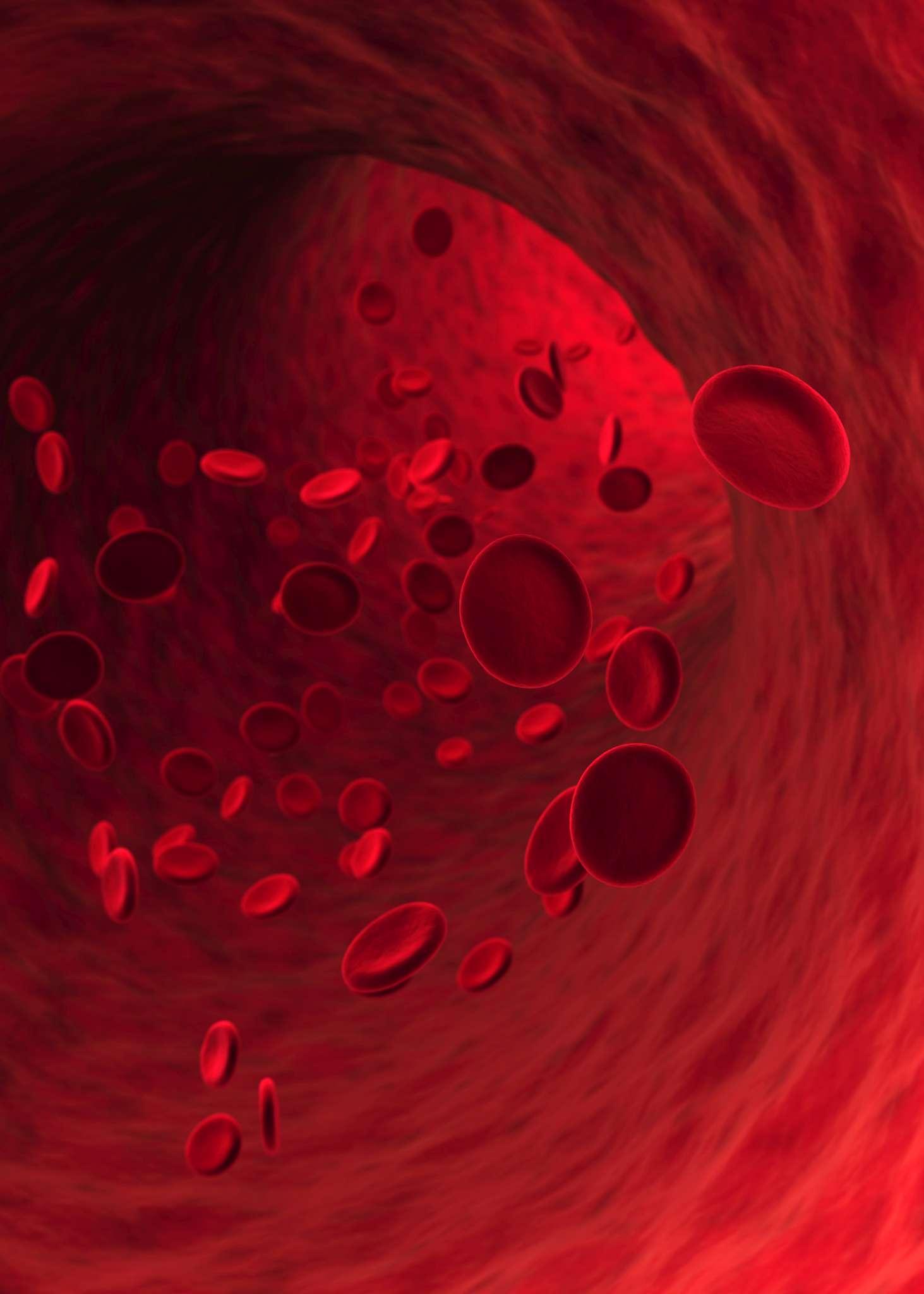 Rote Blutkörperchen, die in Blutgefäßen fließen. Geringe Schärfentiefe.