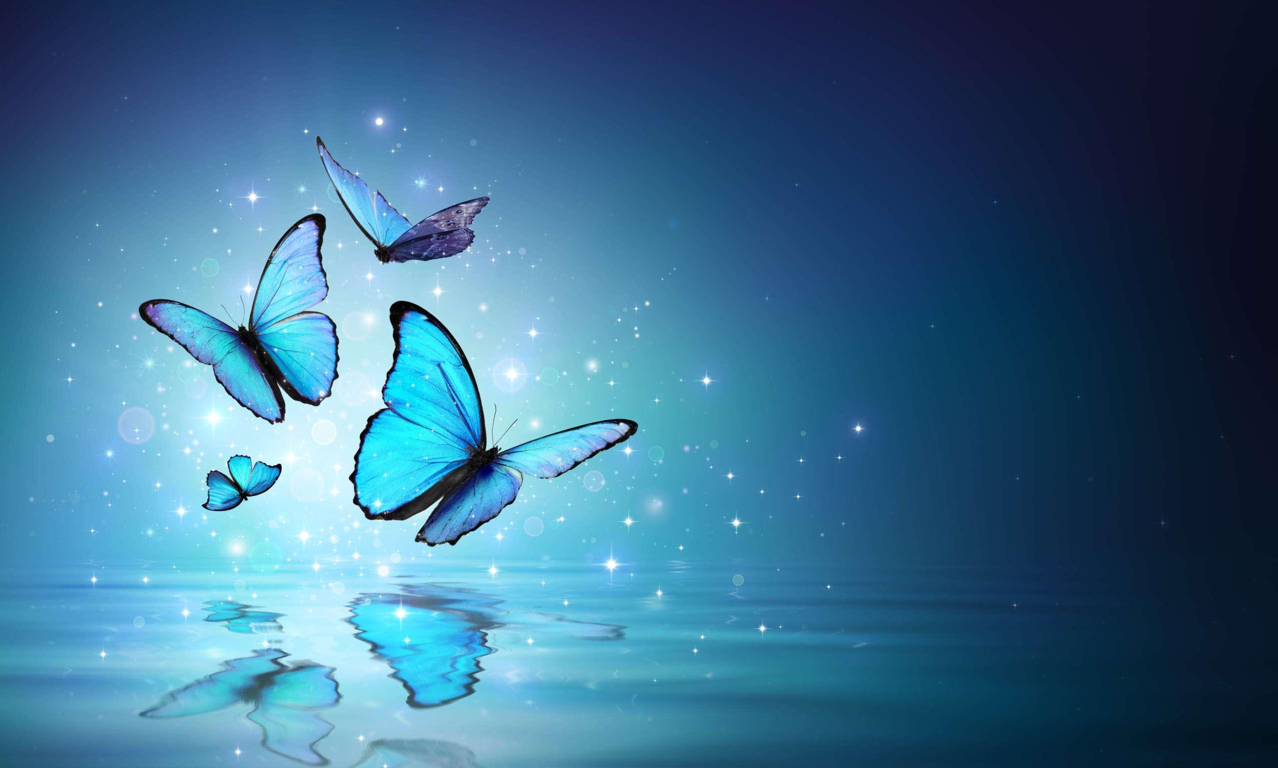 Morpho-Schmetterlinge auf mystischem Wasser
