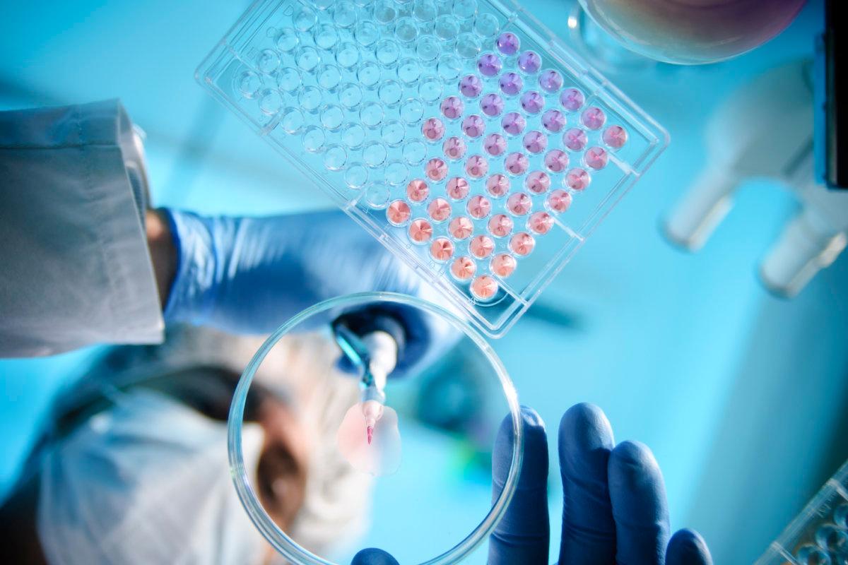 Ein Wissenschaftler verwendet eine Pipette mit einer Mikrotiterplatte und einer Petrischale