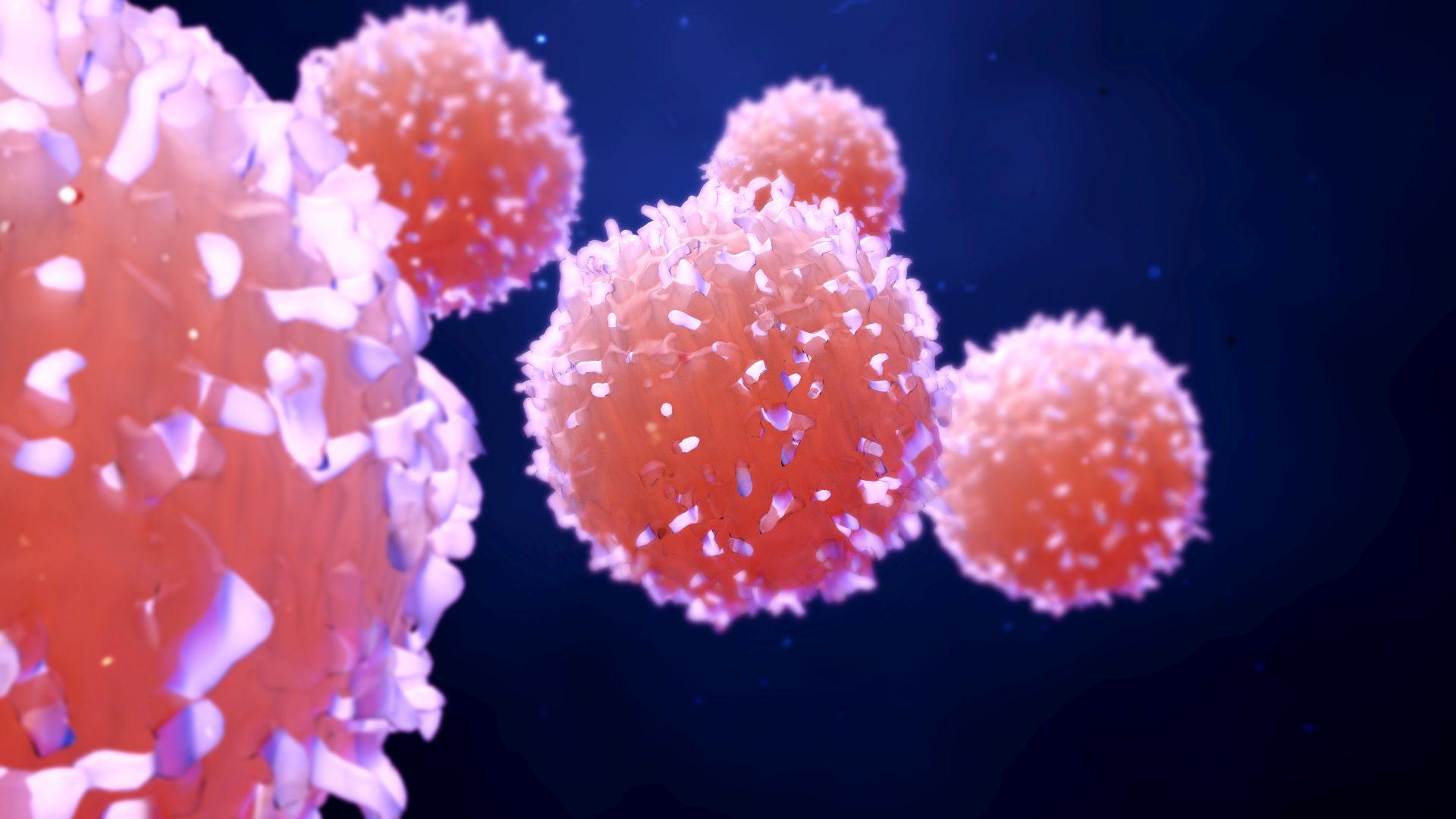 Nur eine einzige Zelle, die IL-1R1-positiven T-Zellen, ist spezifisch für Krebsgewebe