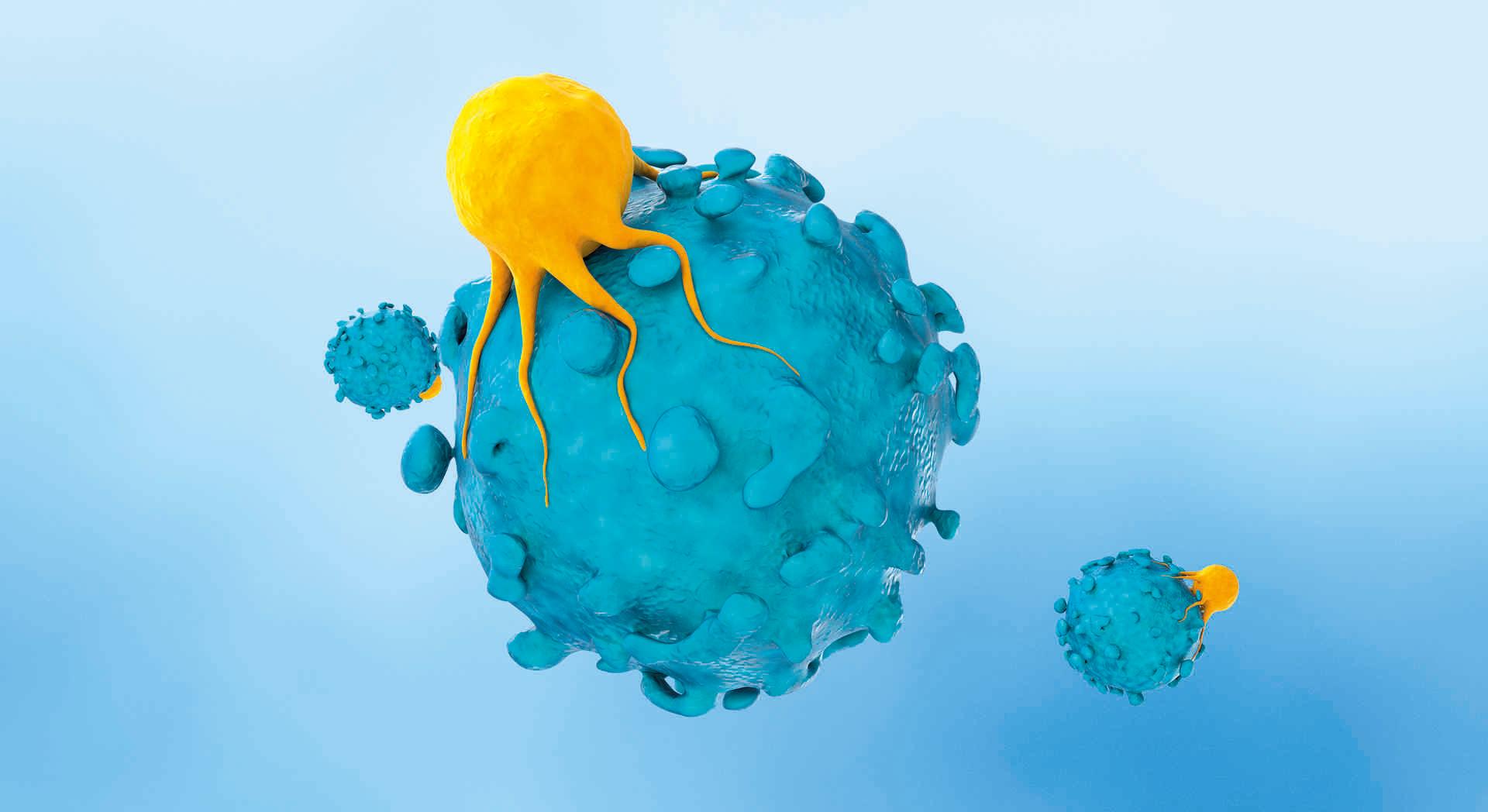 T-Zelle, die auf Krebszellen abzielt