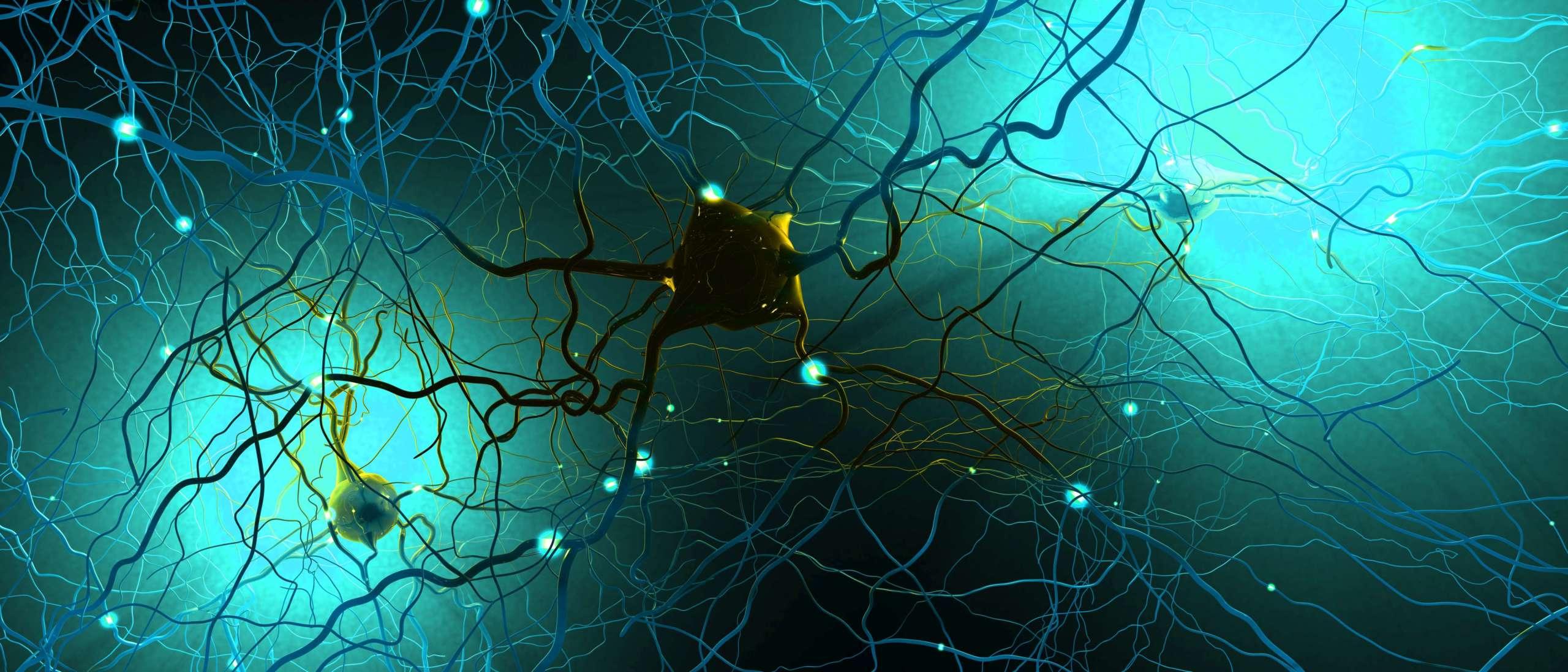 Signalübertragende Neuronen oder Nervenzellen - 3D-Darstellung