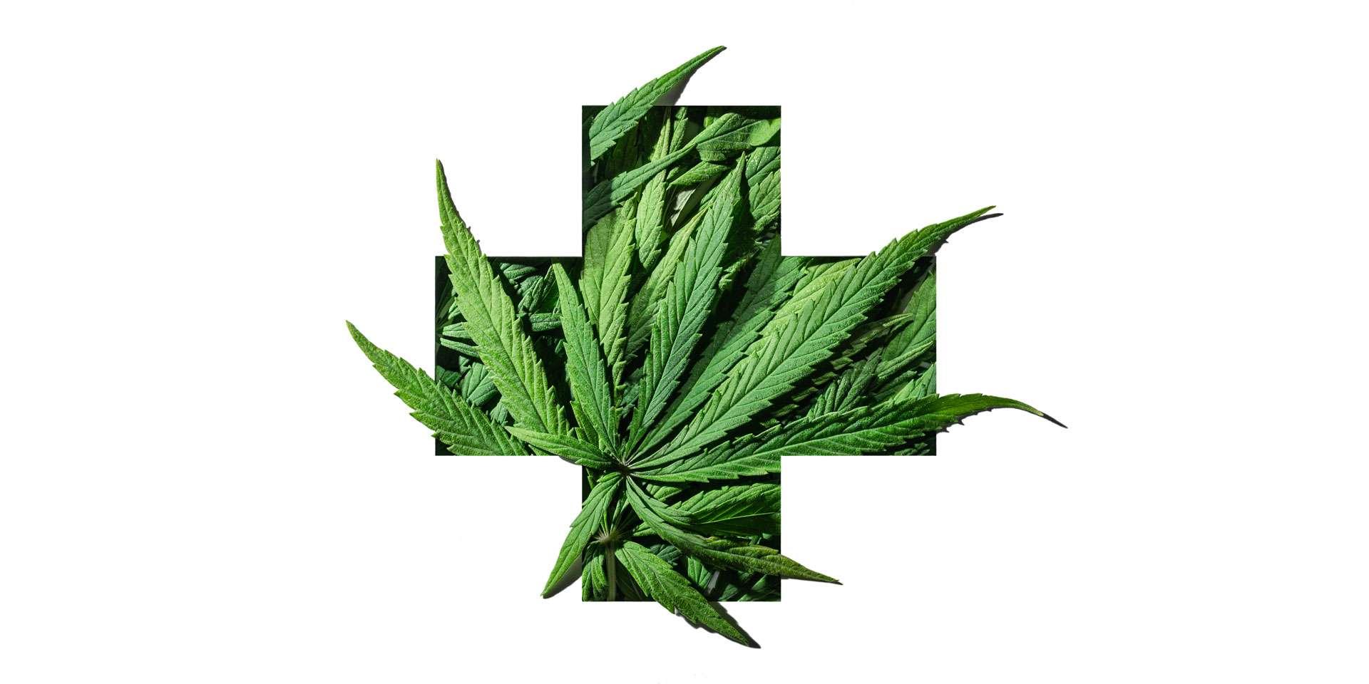 Grüne Cannabisblätter im medizinischen Pluszeichen-Emblemrahmen auf weißem Hintergrund.