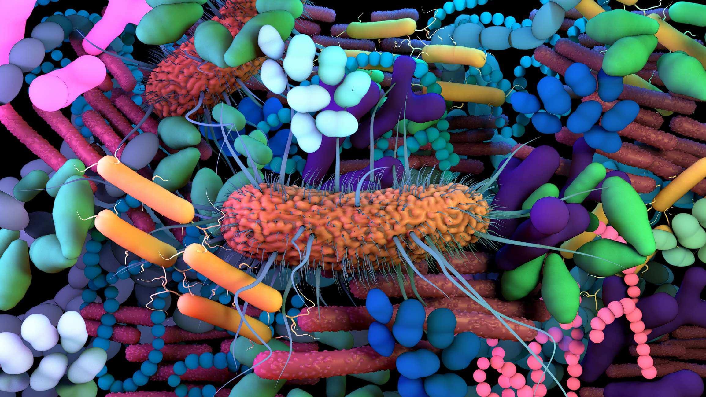 Das menschliche Mikrobiom, genetisches Material aller Mikroben, die auf und im menschlichen Körper leben.