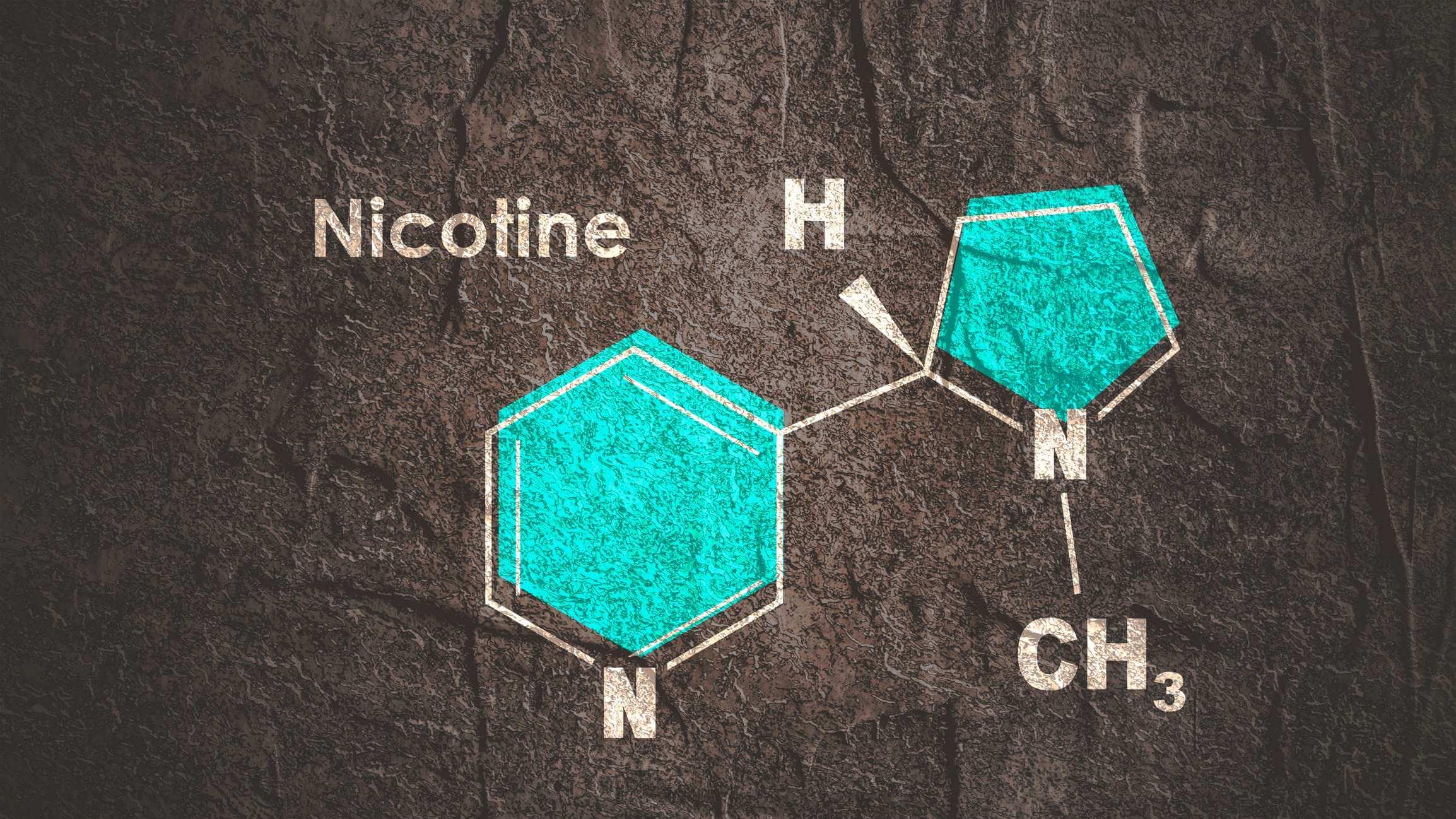 Summenformel von Nikotin. Wissenschafts- und Bildungskonzept
